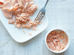 tinned tuna on a plate and in a bowl with a fork
